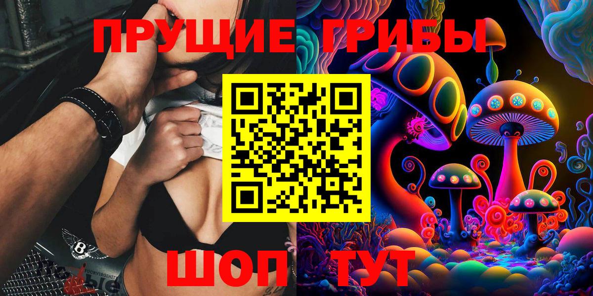 Псилоцибиновые грибы GOLDEN TEACHER  Вход с VPN  Тайшет 