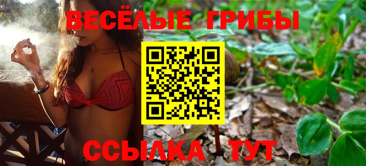 Галлюциногенные грибы мухоморы Тайшет
